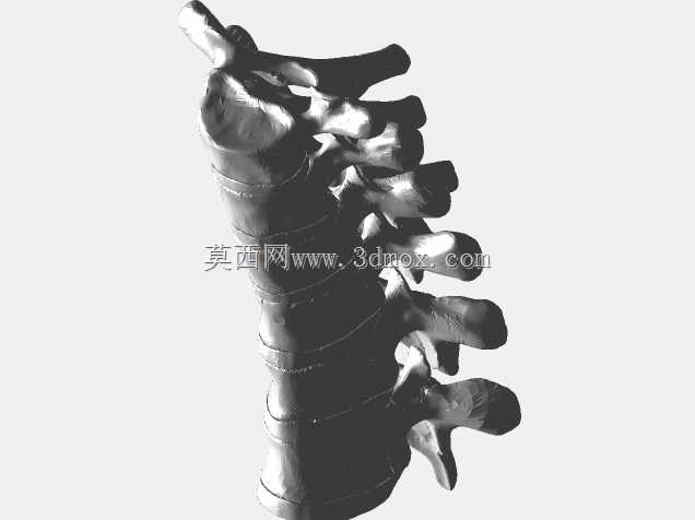 半人马骨架,半马半人。