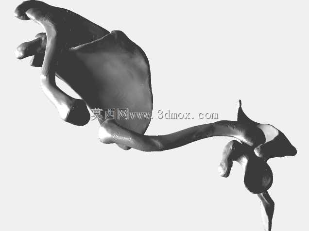 半人马骨架,半马半人。