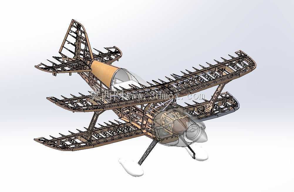 Modell Plane Wolf Pitts Pro