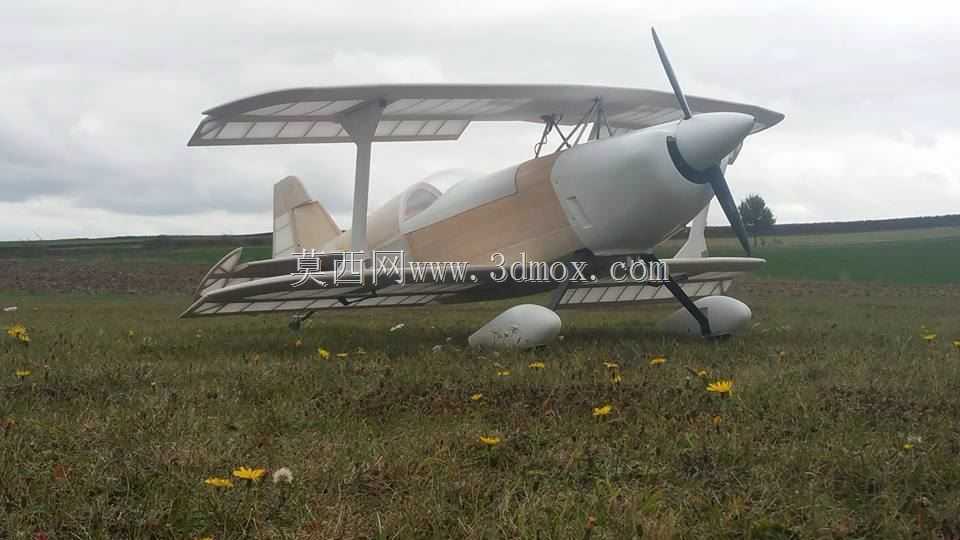 Modell Plane Wolf Pitts Pro