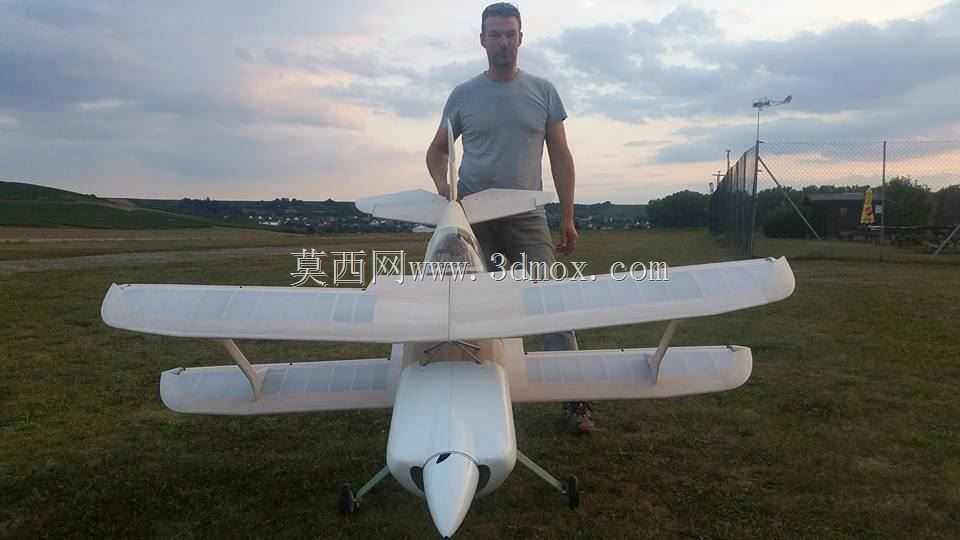 Modell Plane Wolf Pitts Pro