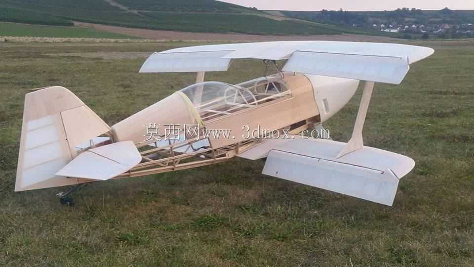 Modell Plane Wolf Pitts Pro