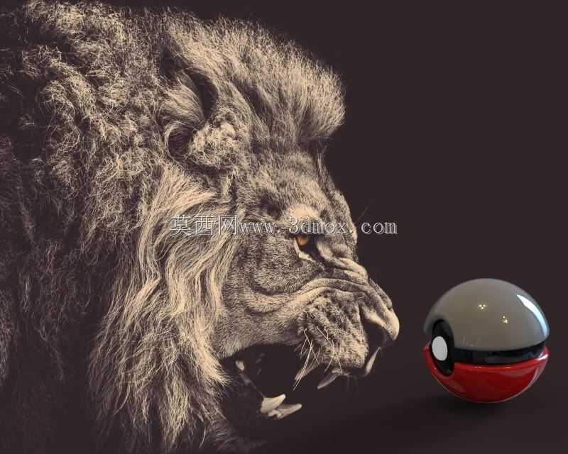 ���鱦����