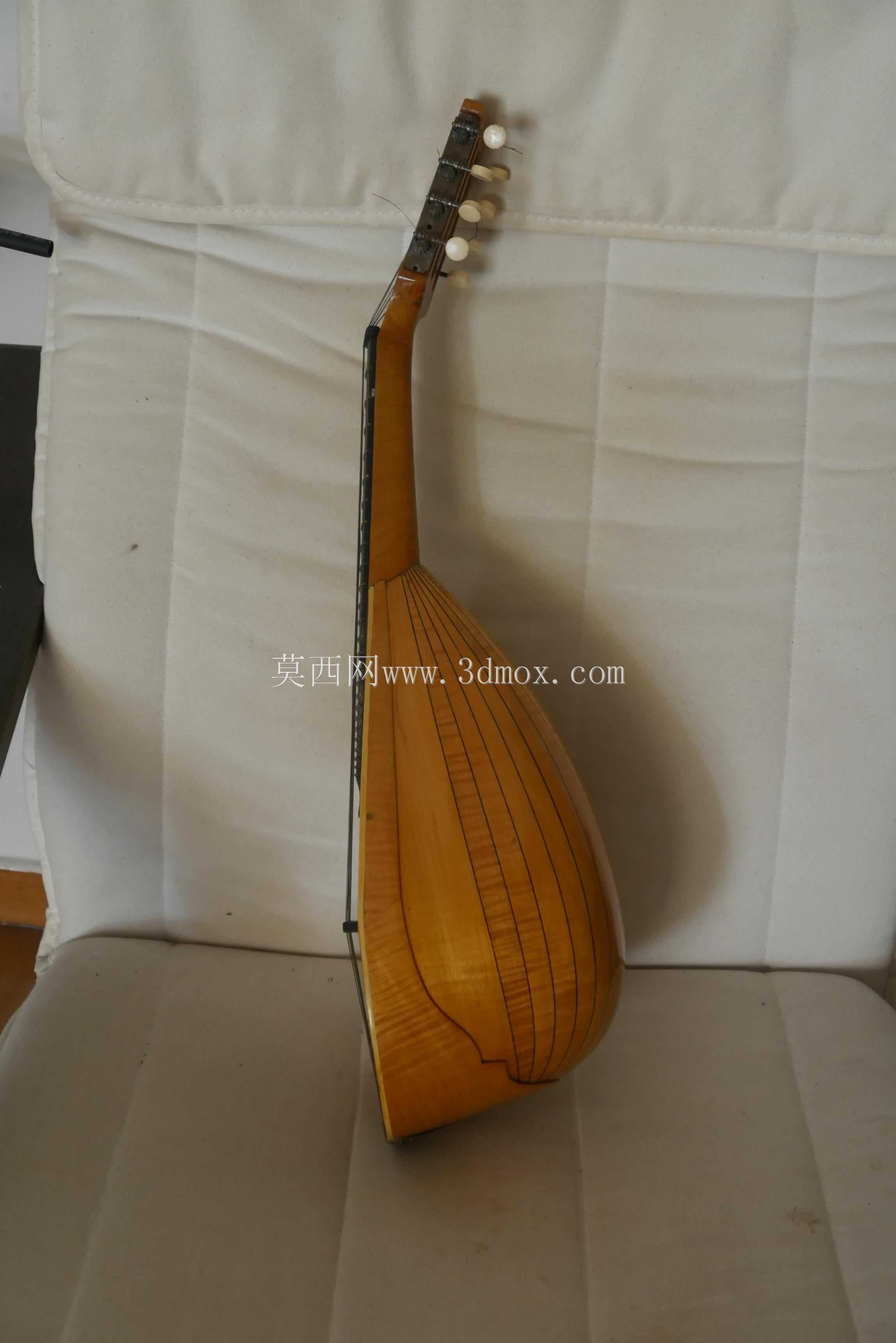 �����ֵ�һ���֣���������������ŵ-������