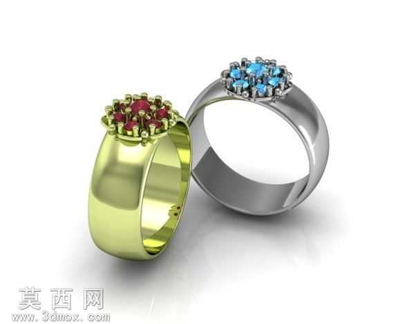 Anillo�����
