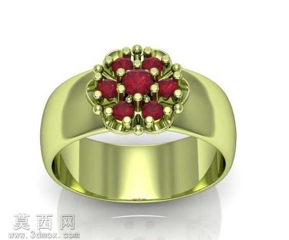 Anillo�����

