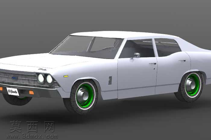 1969��ѩ����300���λ����˴������