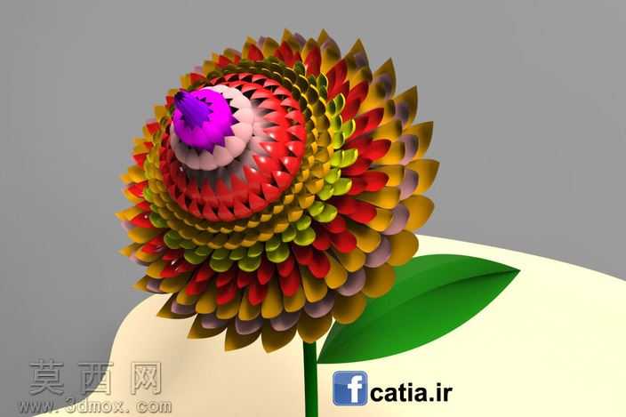 CATIA与花
