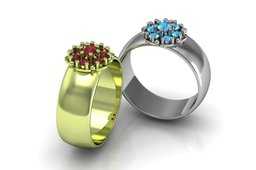 Anillo�����