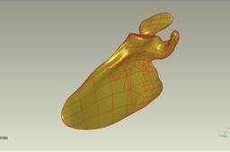 should_bone_scapula_3d_model
