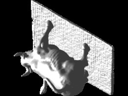 ŦԼ������ţ��