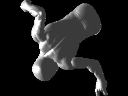 ֩����