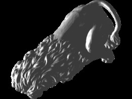 ʨ