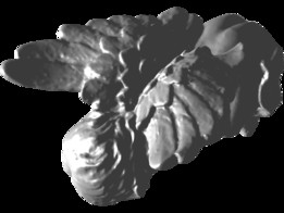 �λ���ʹ-3Dɨ��