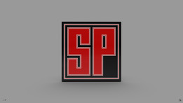 SP��2021�꣩