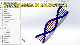 SOLIDWORKS�е�DNA��άģ��