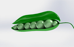 �㶹