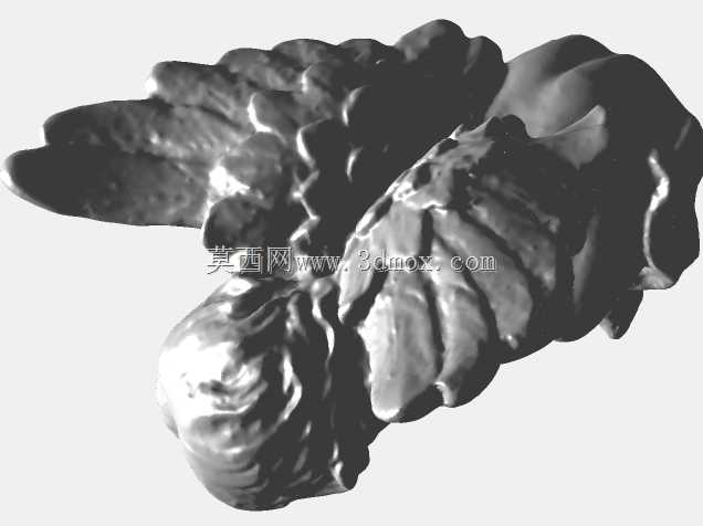 �λ���ʹ-3Dɨ��