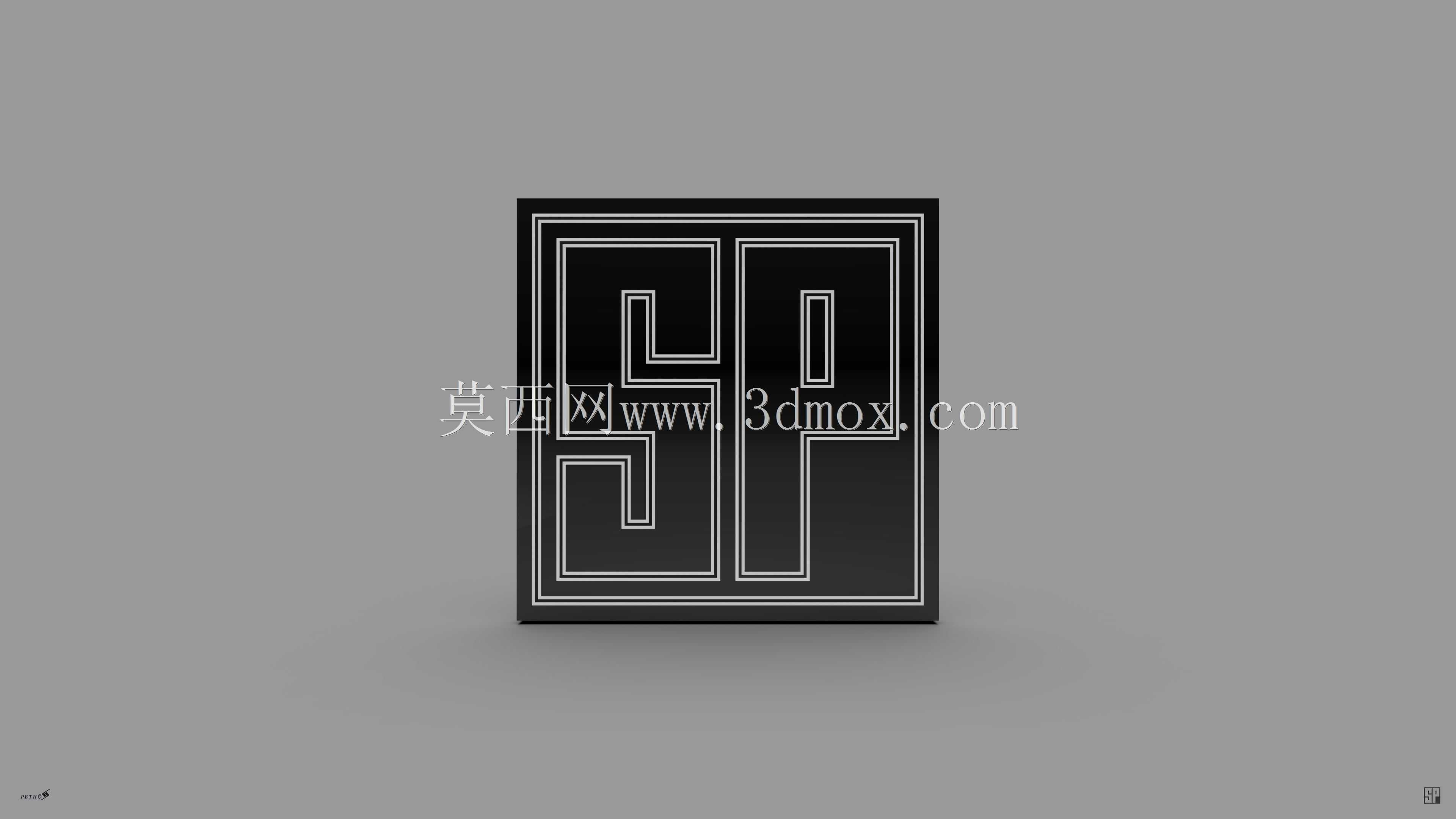 SP��2021�꣩