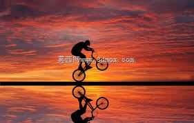 自行车车轮
