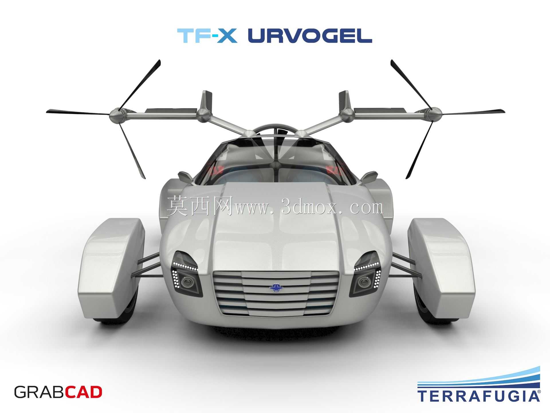 TF-X-Urvogel