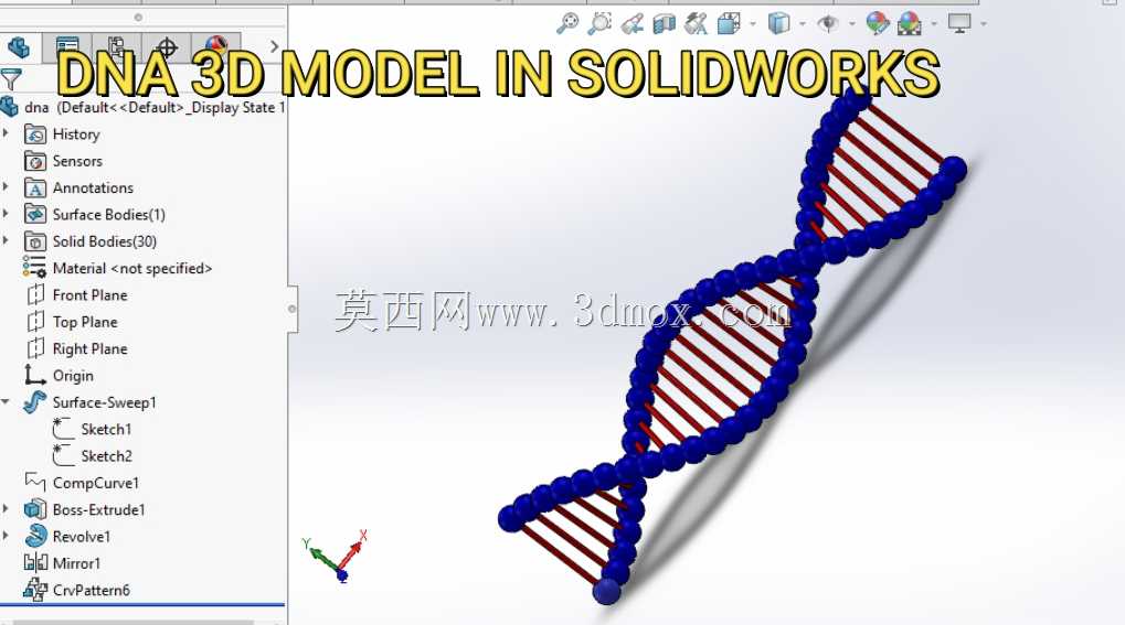 SOLIDWORKS�е�DNA��άģ��