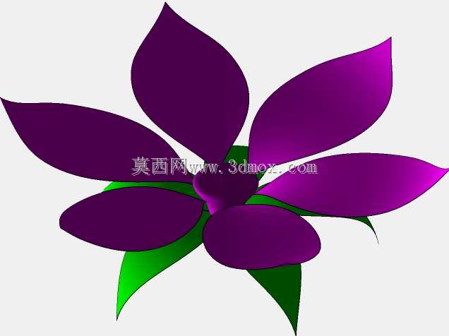 花卉植物