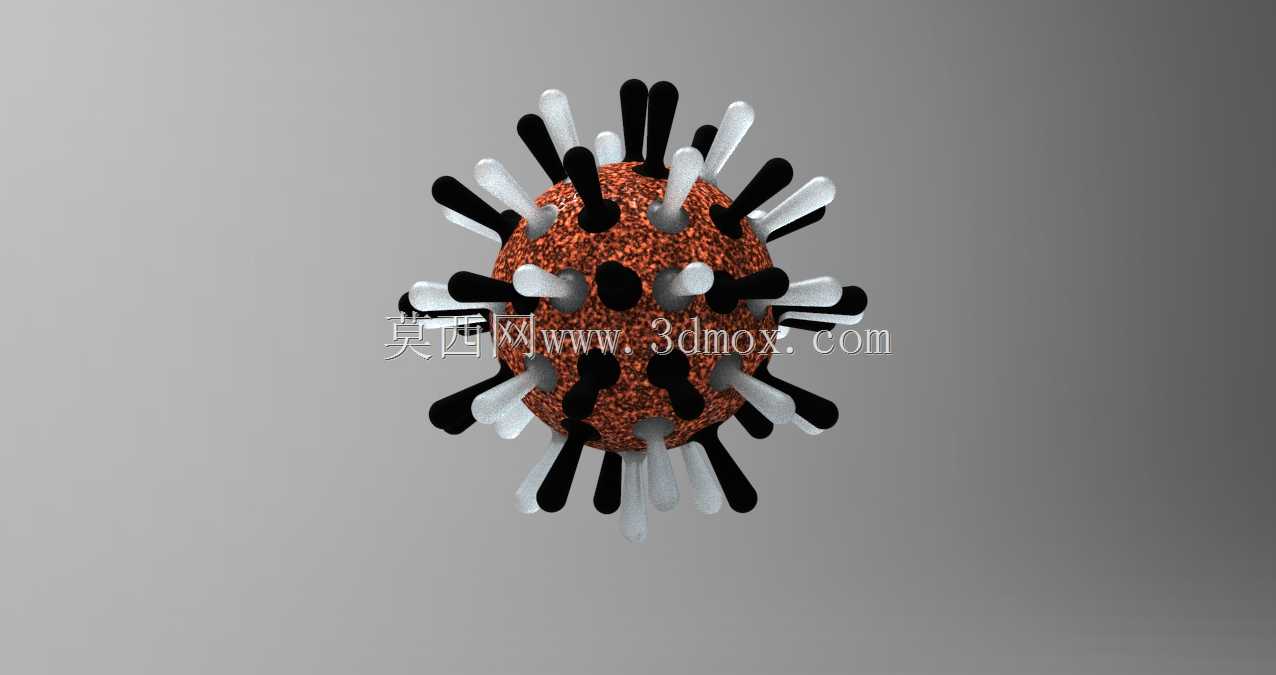 新冠肺炎病毒结构