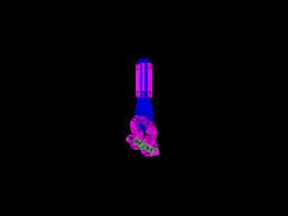 ŷķ2.5Ӣ��-3D+2020