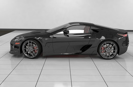 �׿���˹LFA 2011