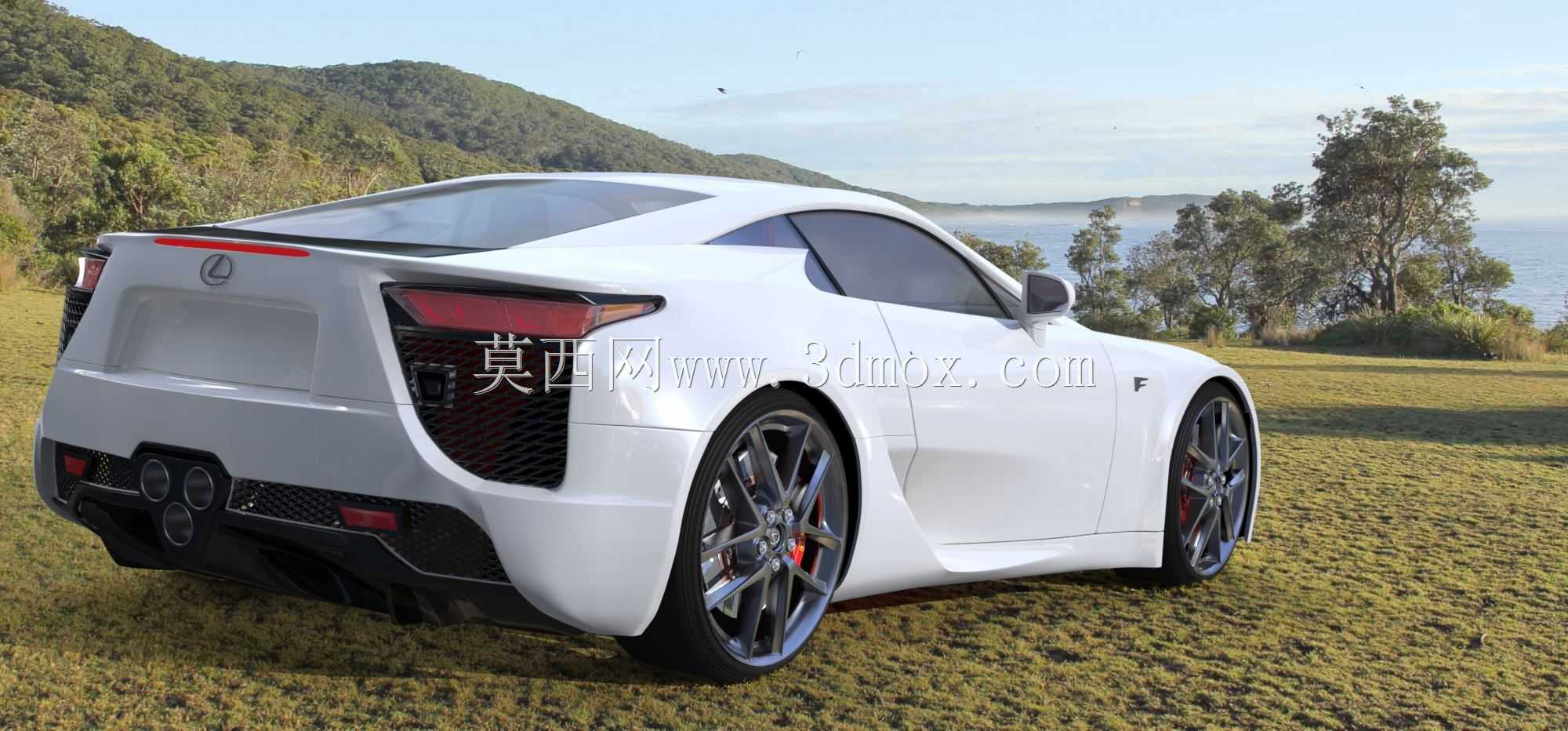 �׿���˹LFA 2011