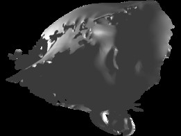 3dɨ��̳�