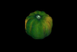 ��ʵ�Ϲ�
