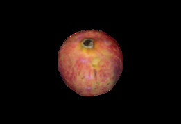 ʯ��