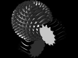 �ŵ�