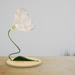 Solidworks和Keyshot中的花灯