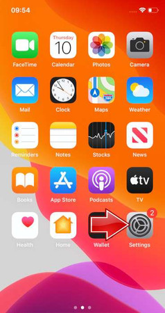 iPhone X