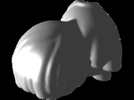 ʨ