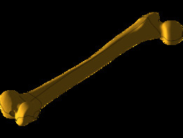 �ɹ�