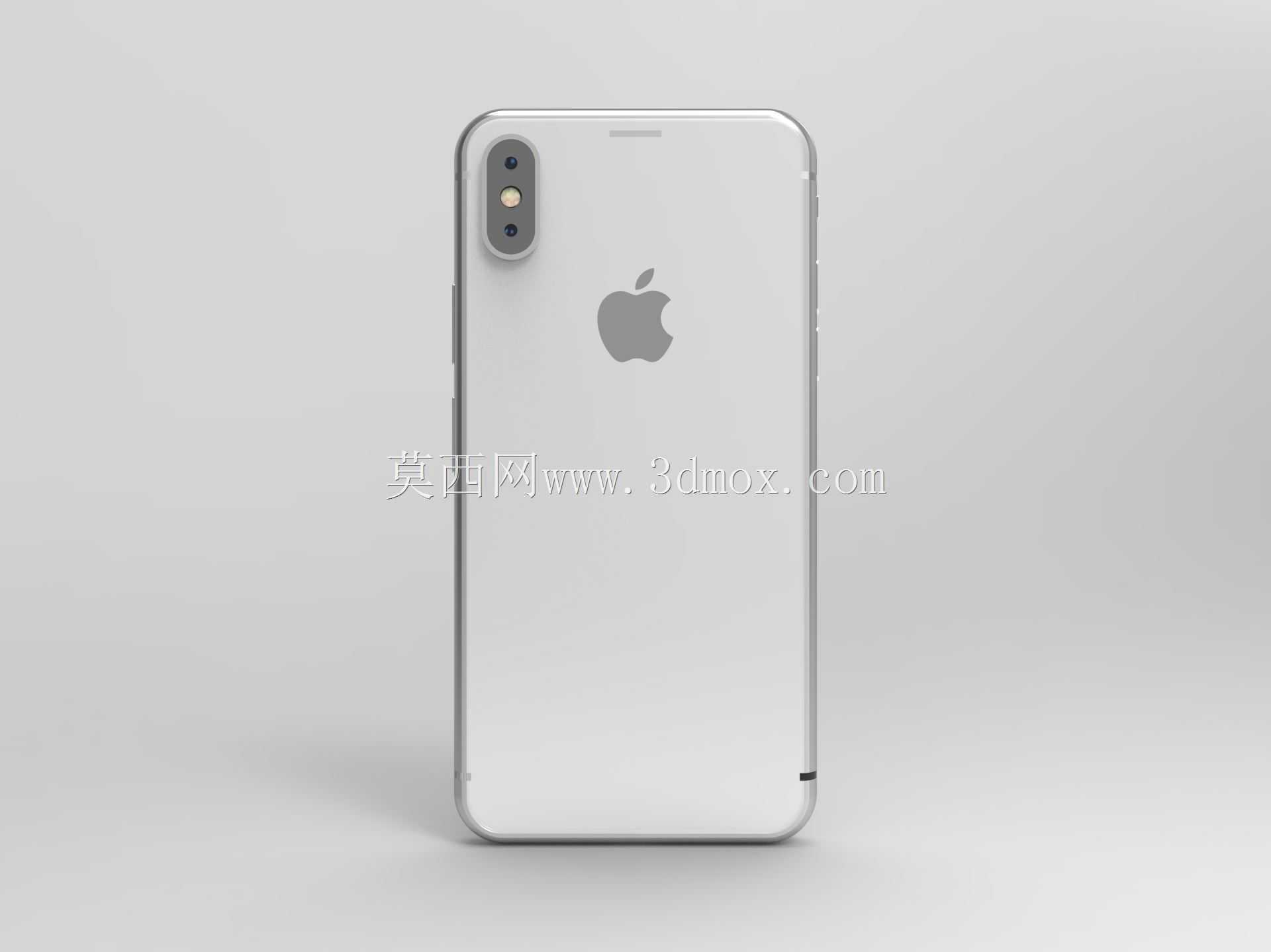 iPhone X