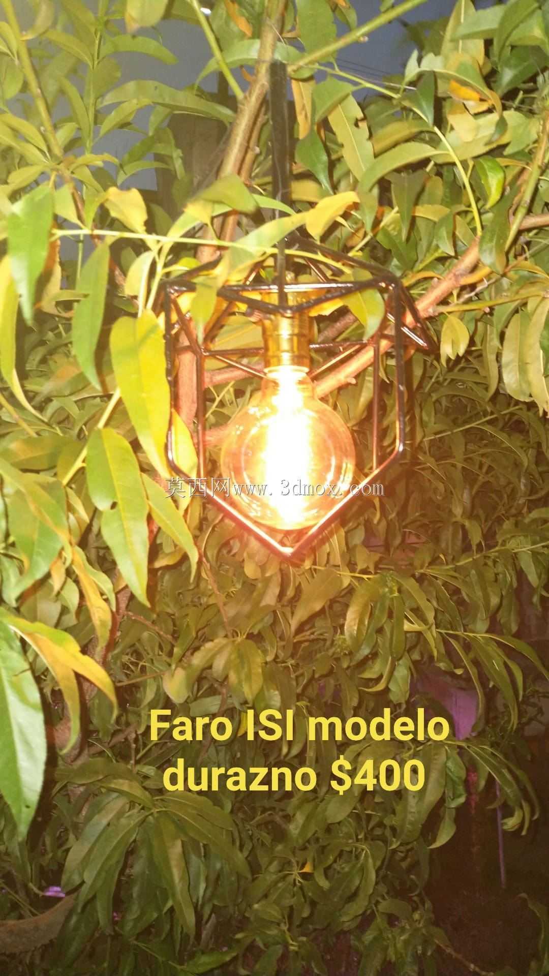 �����������Ƶ�