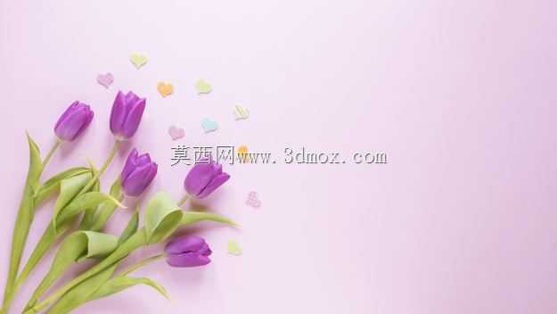 Corazón 10 de mayo-心脏5月10日-心脏