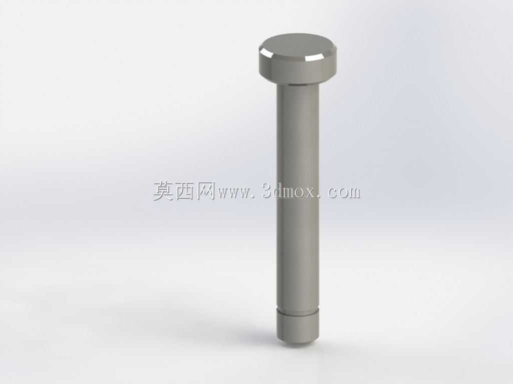 ���ŵ8mm y�����