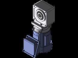 RNYMS02-1220Y-5