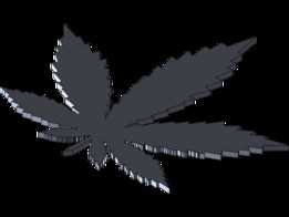 �Ӳݱ�־