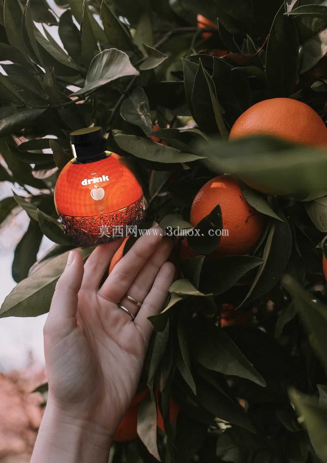 喝汽水