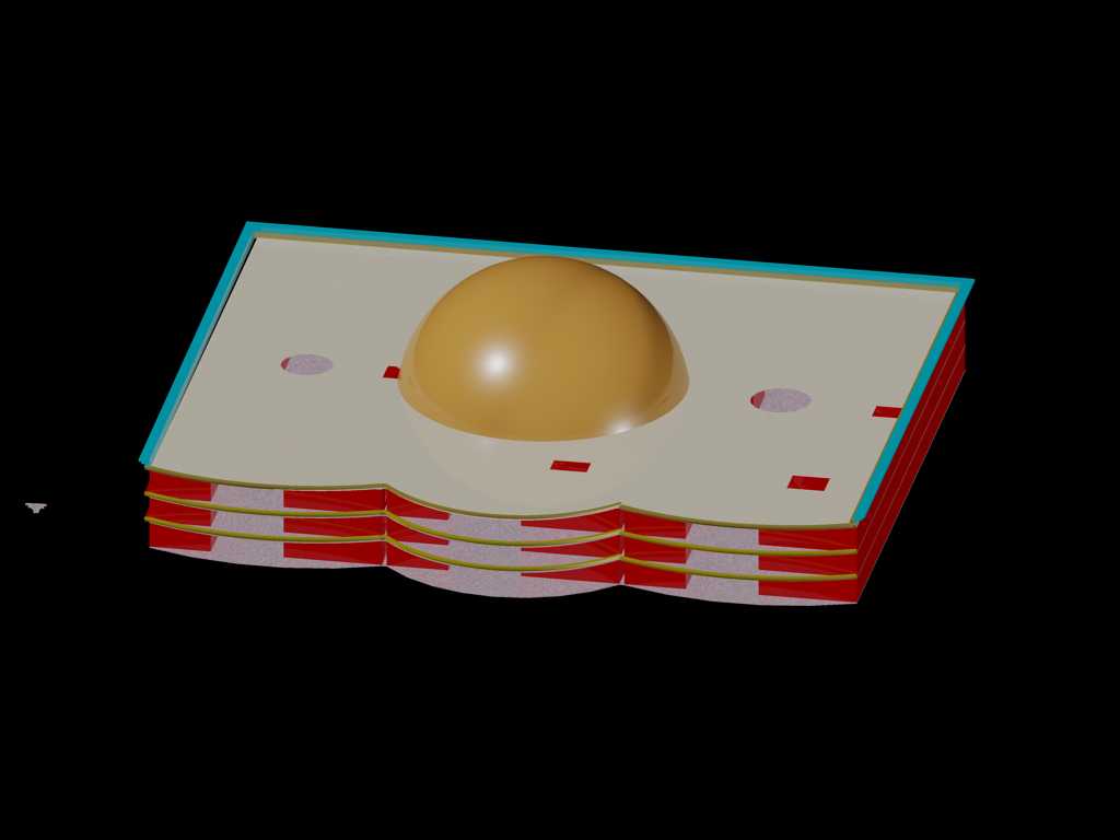 ѧ�����