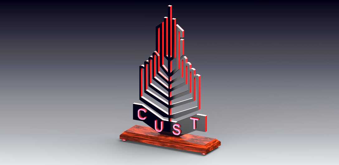 cust��־