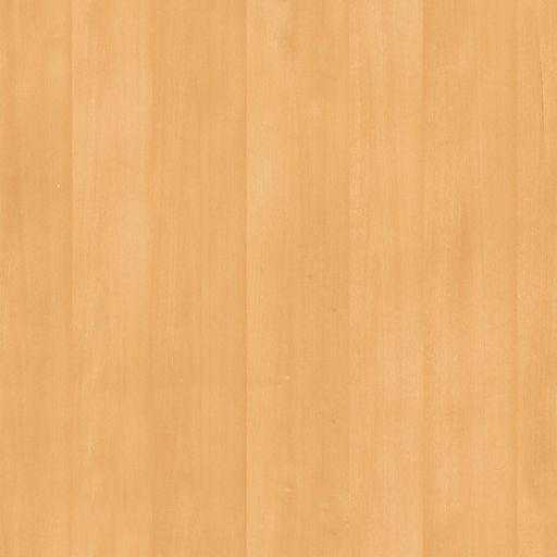30'x60'������άģ��