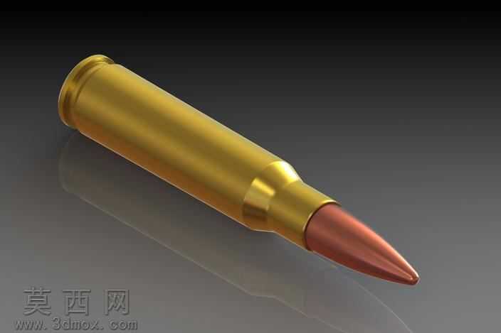 ��308�³�˹��(7��62x51)ī��
